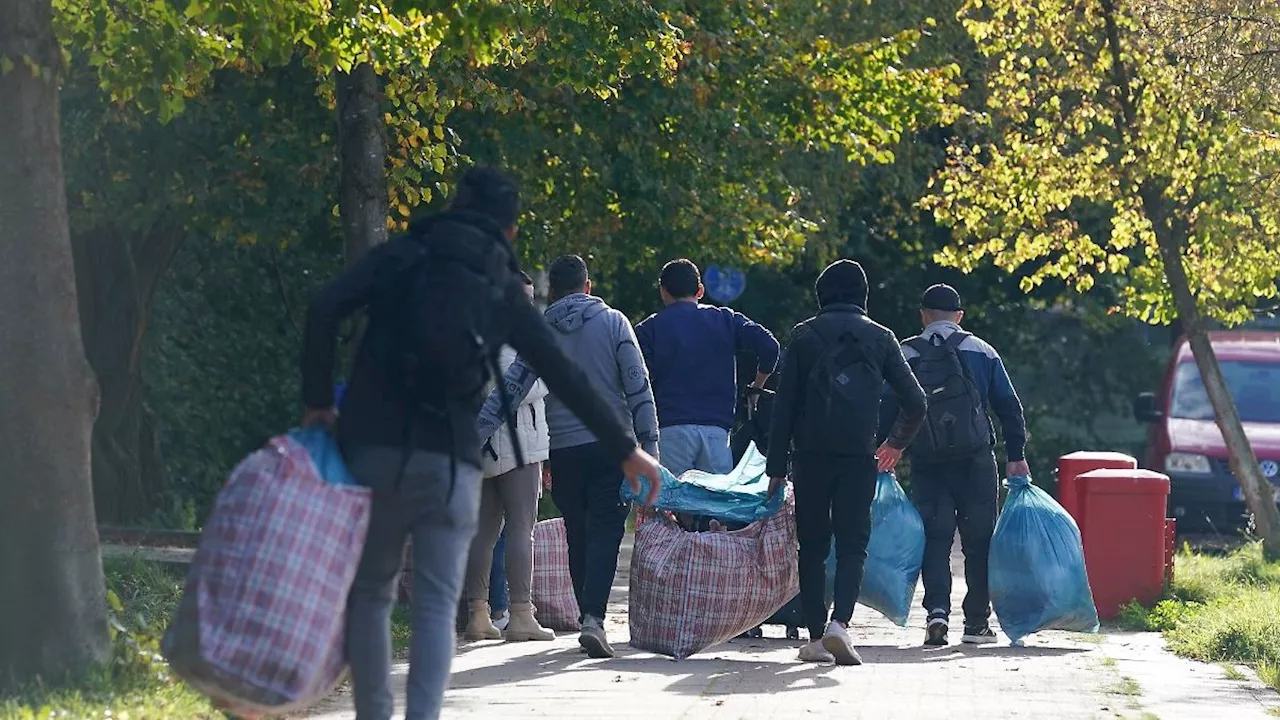 Hamburg & Schleswig-Holstein: Flüchtlingszustrom dauert an: Unterbringung in Zelten