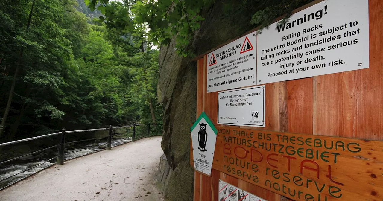 Wanderer im Harz stürzt Abhang hinunter und stirbt