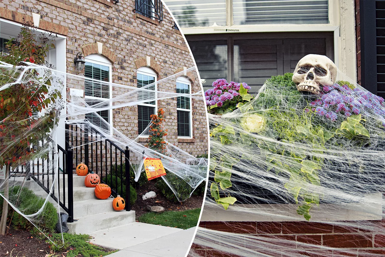 Synthetic spider webs pose dangerous threat to local wildlife this Halloween