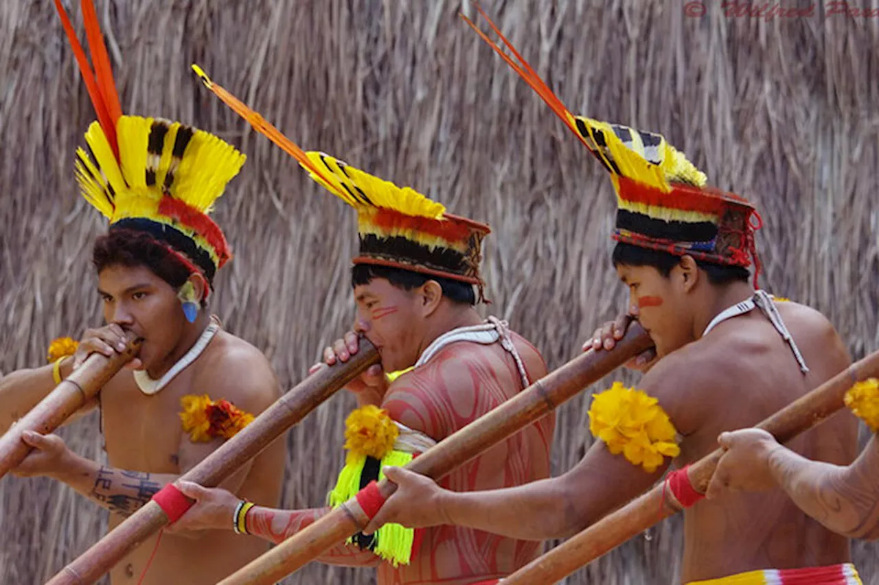 The Amazon’s archaeology of hope: Q&A with anthropologist Michael Heckenberger