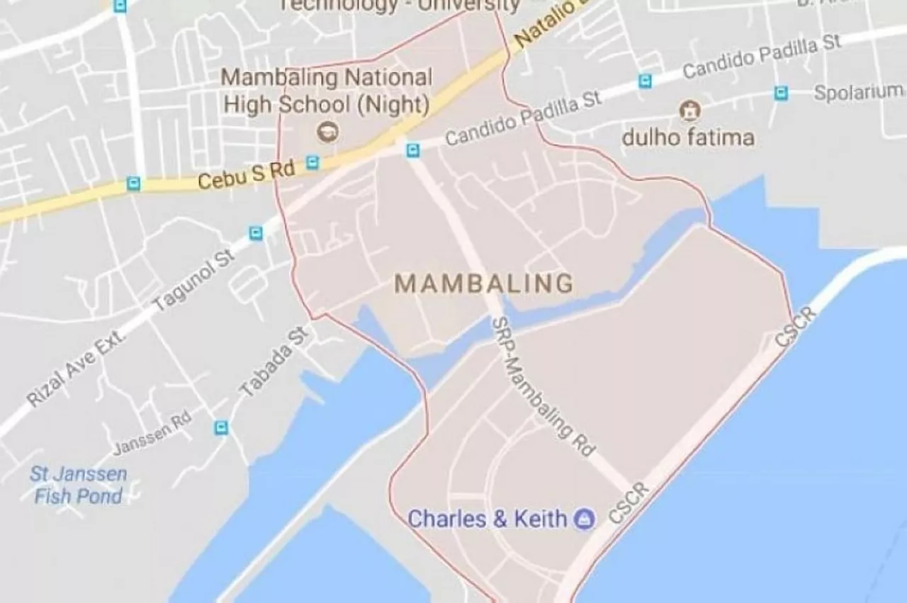 Motorcycle thief arrested in Mambaling