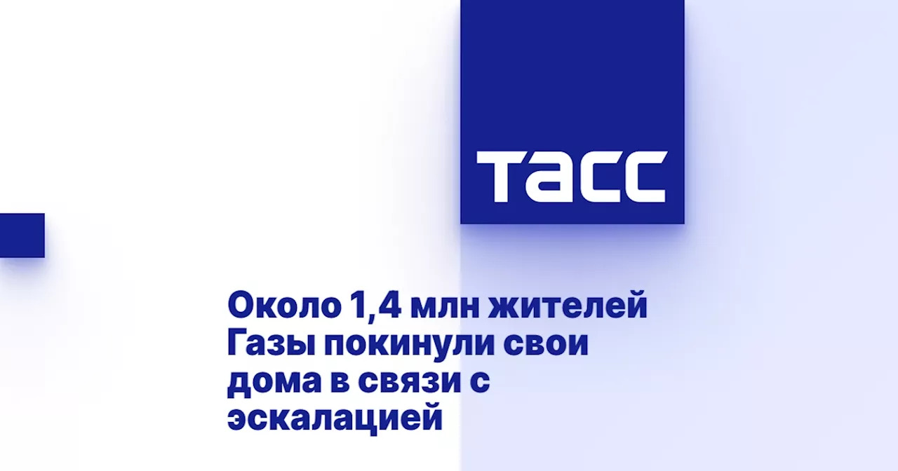 Около 1,4 млн жителей Газы покинули свои дома в связи с эскалацией