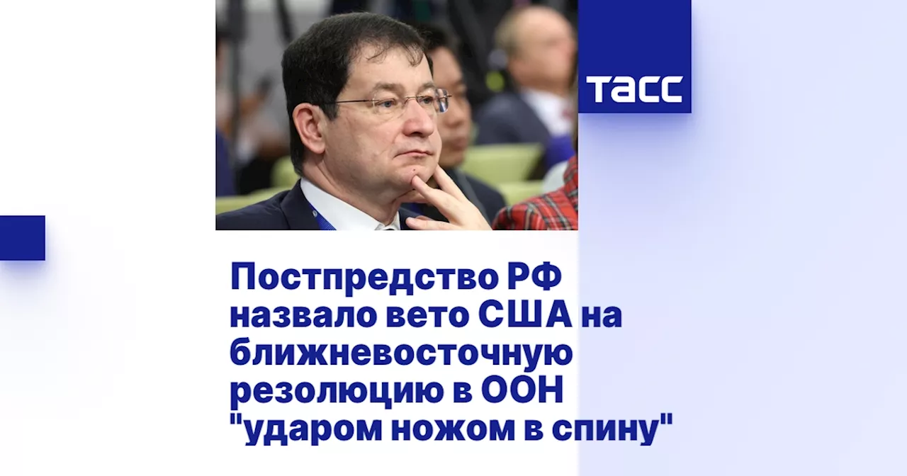 Постпредство РФ назвало вето США на ближневосточную резолюцию в ООН 'ударом ножом в спину'