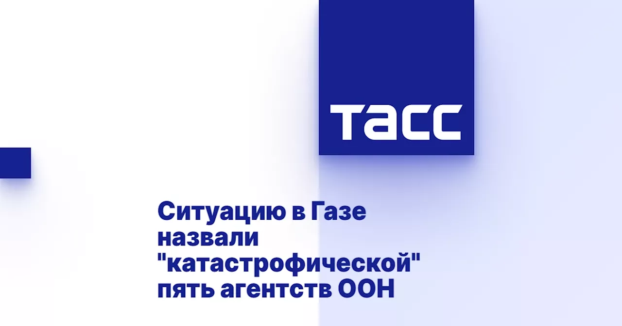 Ситуацию в Газе назвали 'катастрофической' пять агентств ООН