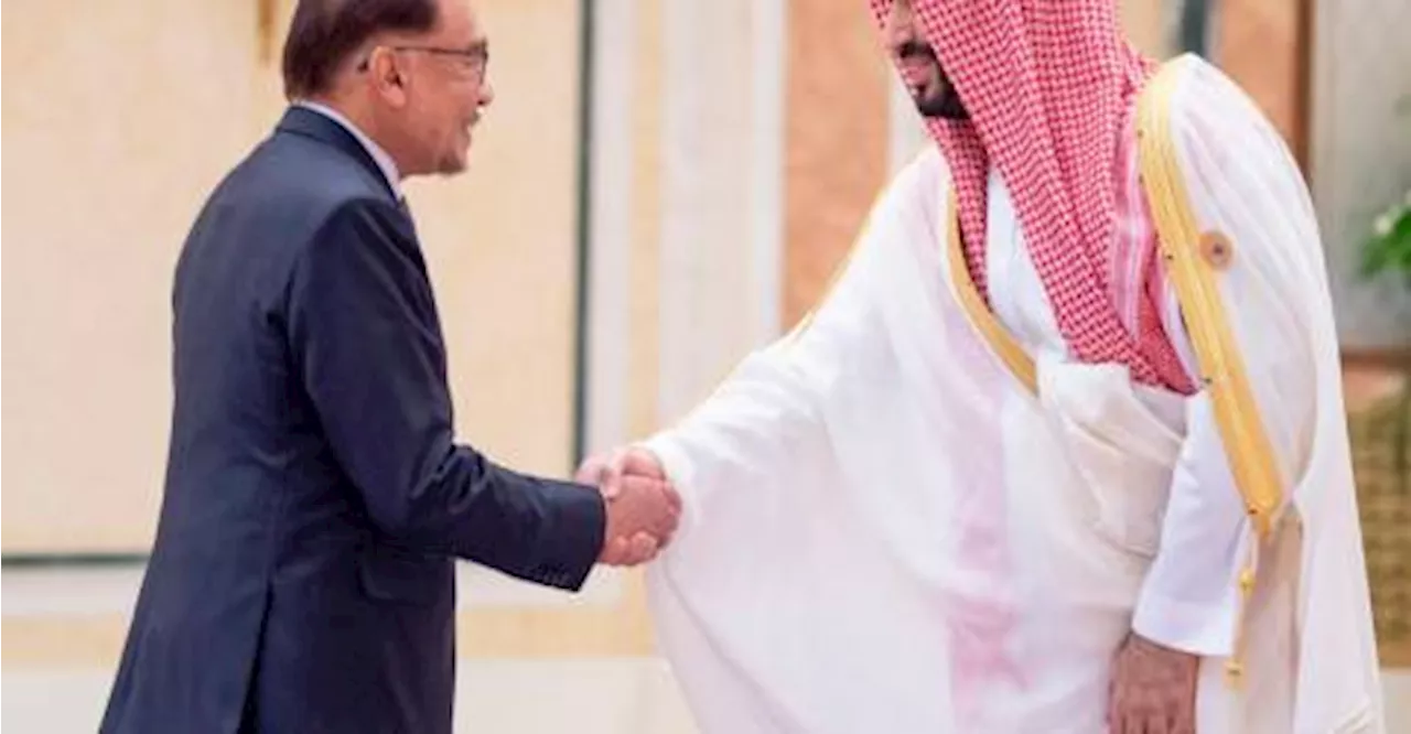 Saudi Crown Prince Mohammed grants an audience to PM Anwar