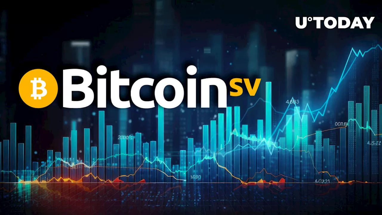 Bitcoin SV (BSV) Almost Doubled in 30 Days: Possible Reasons