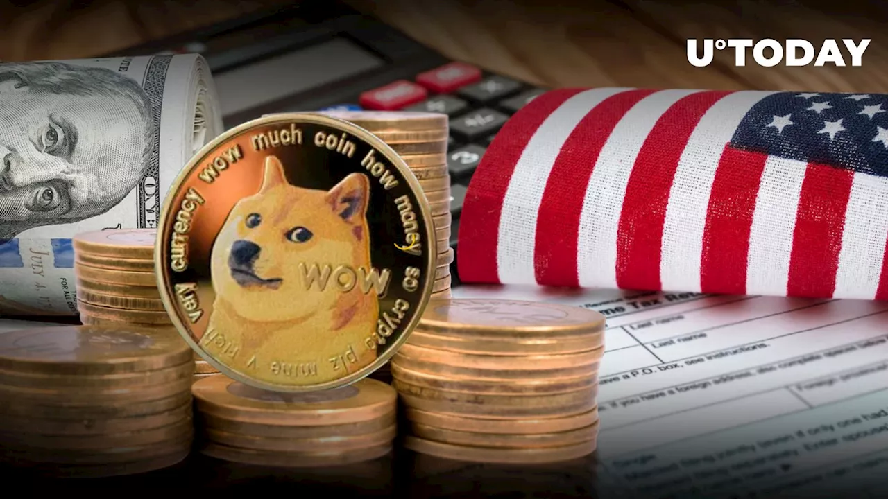 DOGE Creator Pours Criticism on US Taxation System: Details