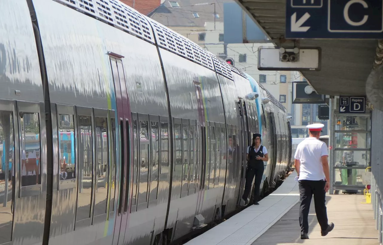 Ferroviaire : Placé en redressement judiciaire, Railcoop a désormais six mois pour trouver des capitaux