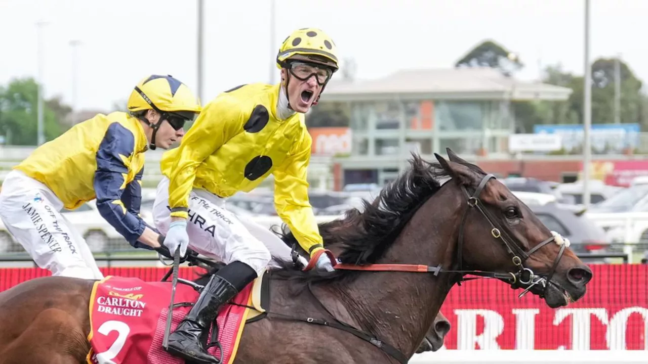 Horse racing wash-up: What Saturday’s top performers mean for the Melbourne Cup