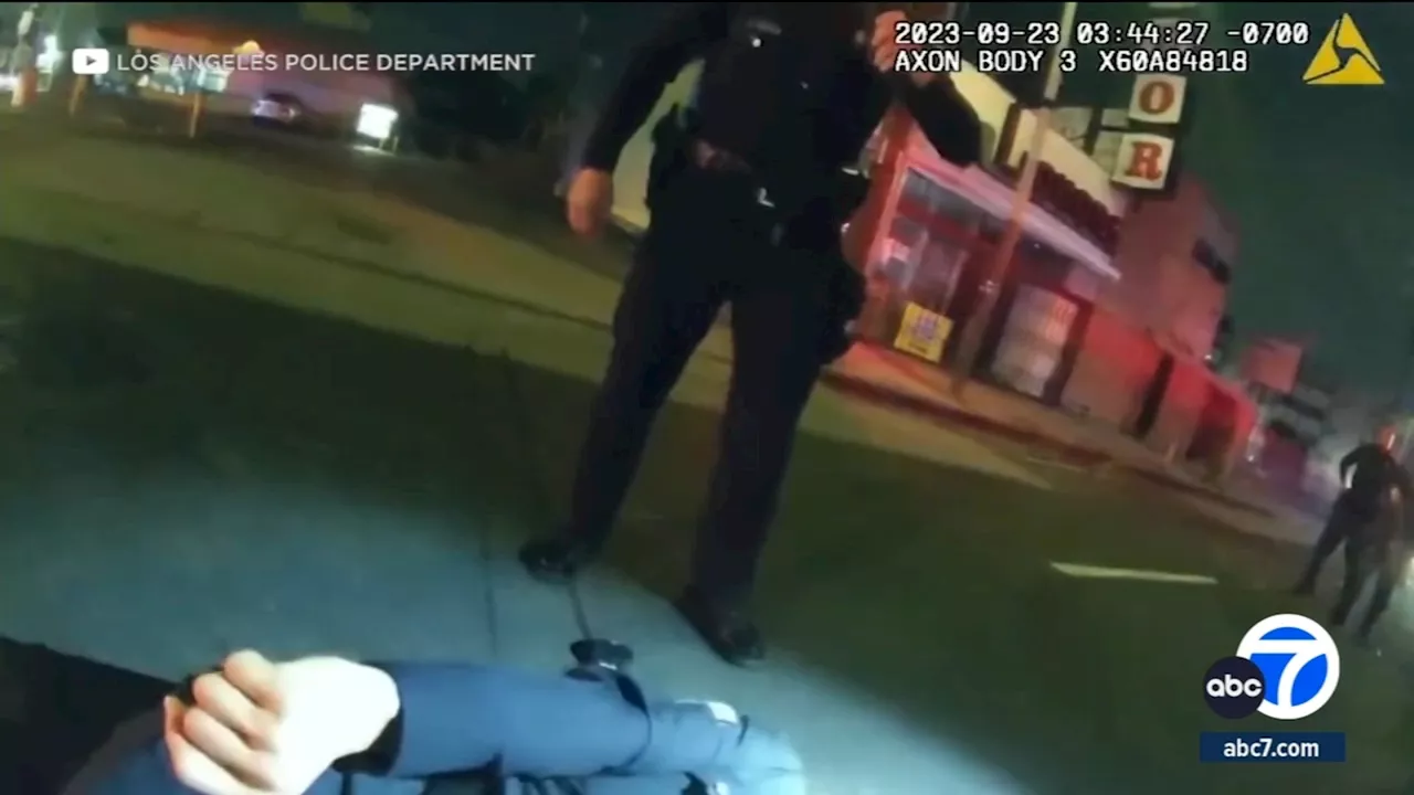 Video shows moments LAPD sergeant was hit by alleged drunk driver while trying to stop stolen car