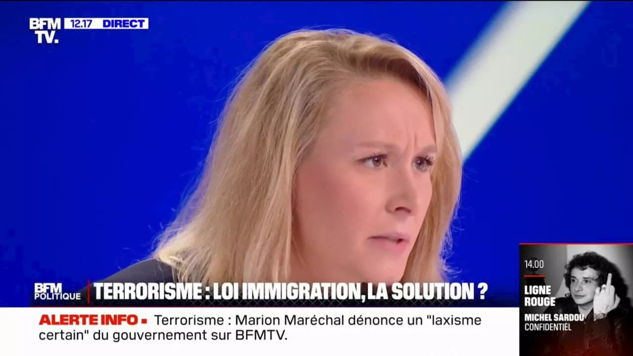 Marion Maréchal souhaite 'une réforme constitutionnelle' sur le sujet de l'immigration