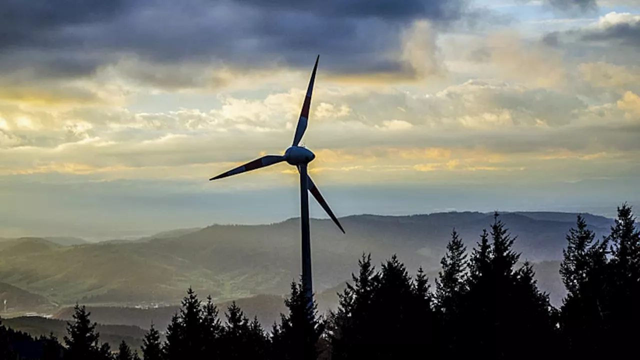 Schweizer Banken wollen Greenwashing-Regulierungswelle abwenden