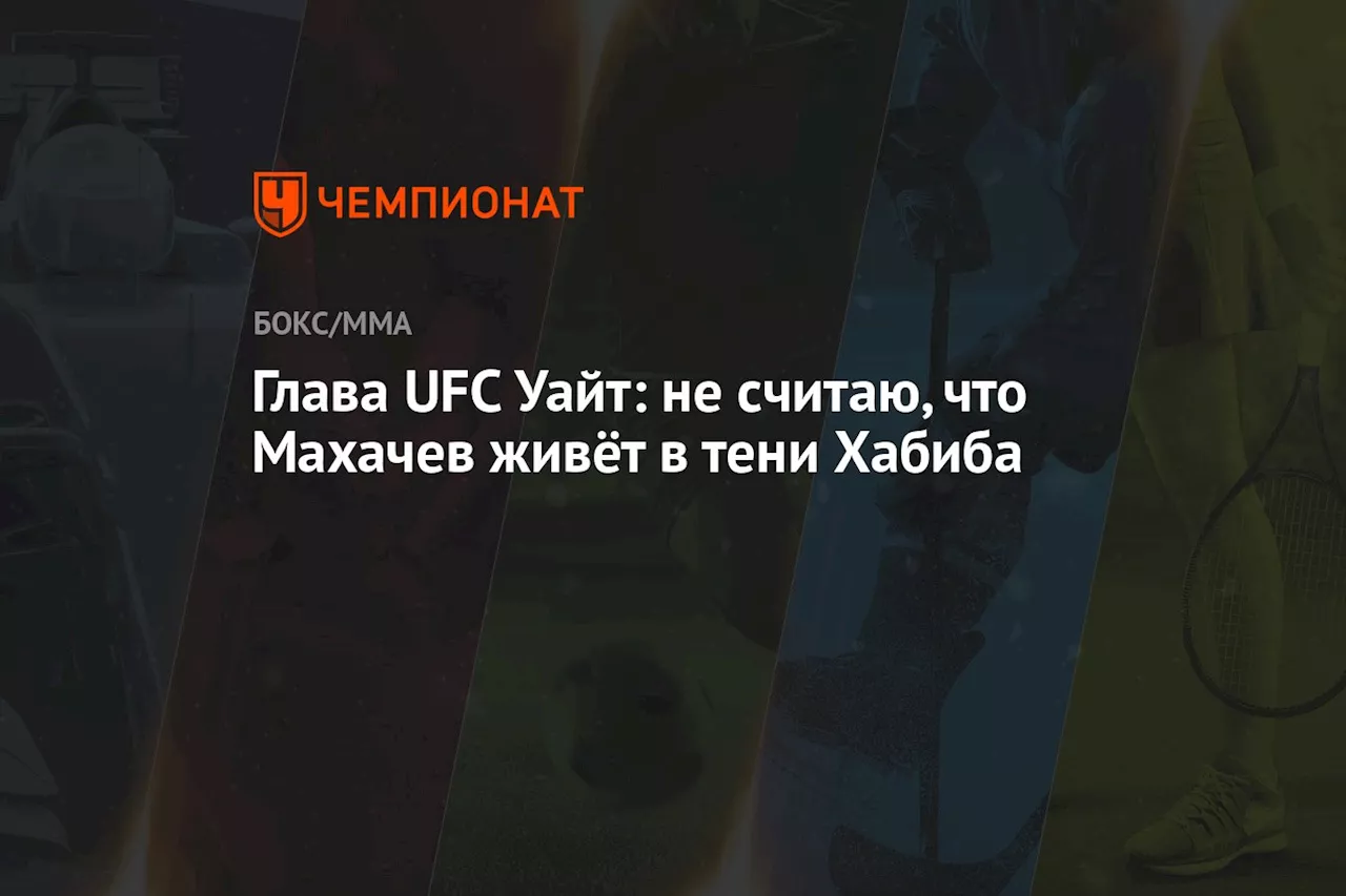 Глава UFC Уайт: не считаю, что Махачев живёт в тени Хабиба