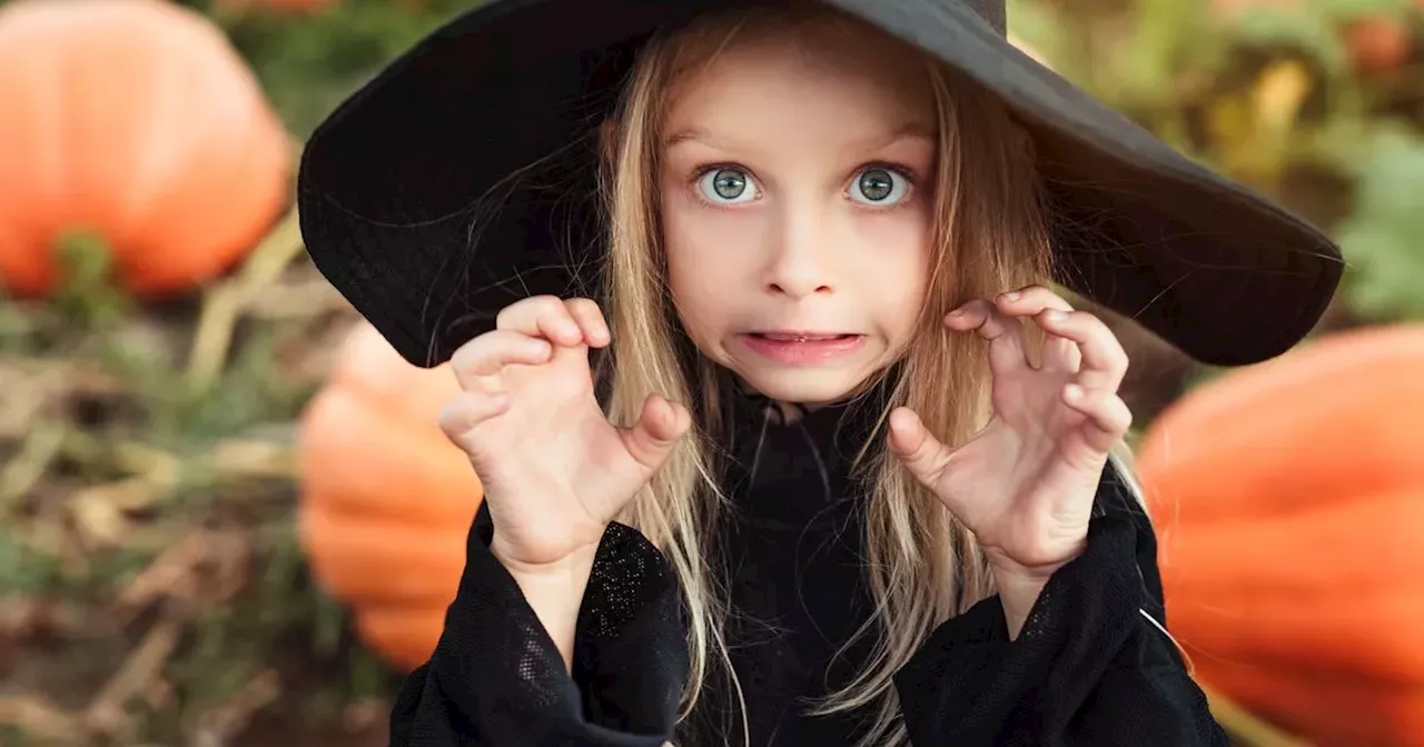 Top tips on how to turn your Halloween into a scary spooktacular