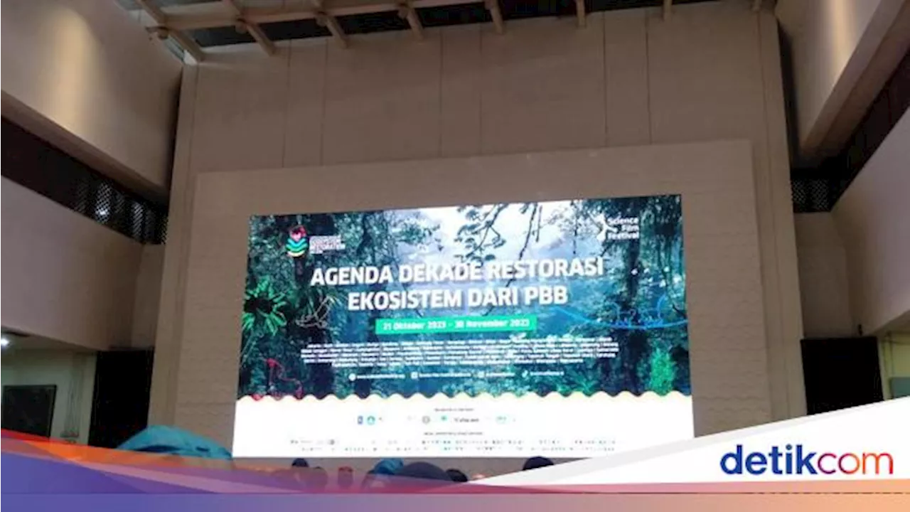 Kemdikbud: Science Film Festival 2023 Jadi Karya Kolaboratif Sineas & Pegiat Lingkungan