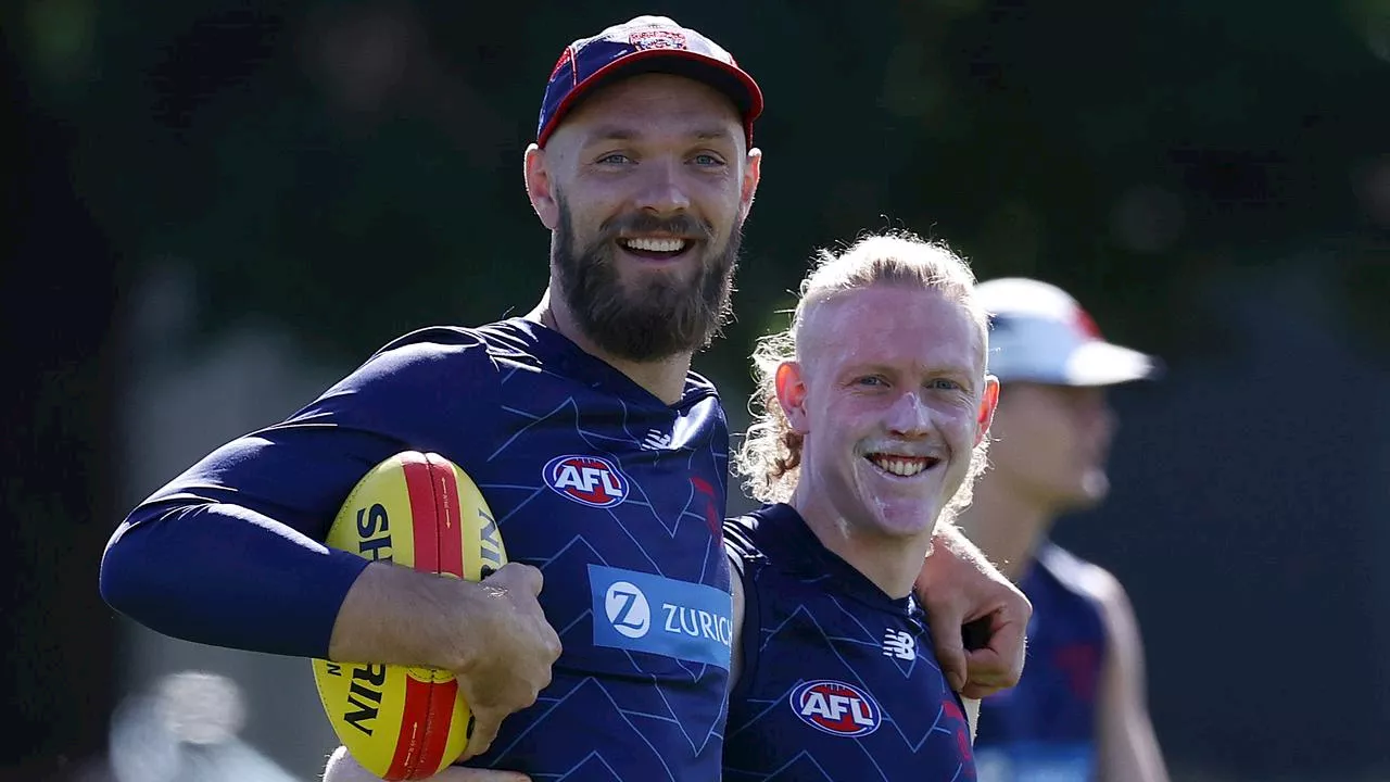 ‘Happens at most clubs’: Skipper backs Demons to overcome ‘adversity’ amid culture concerns