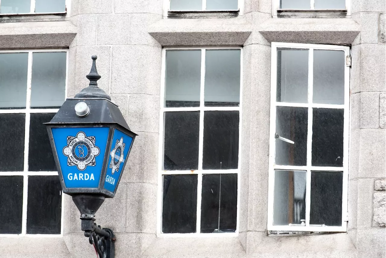 Three Gardaí hailed as heroes after they save drowning man in Kilkenny