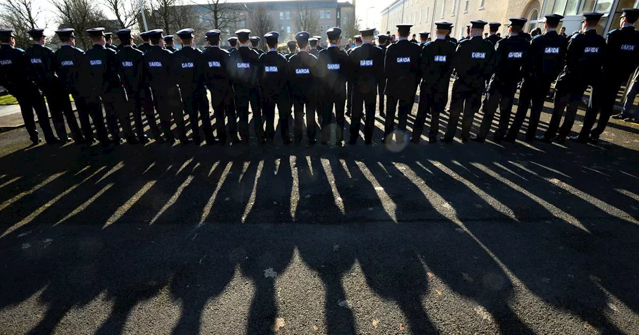 Bullying and burnout ‘rife’ within Garda, according to survey of members who quit force