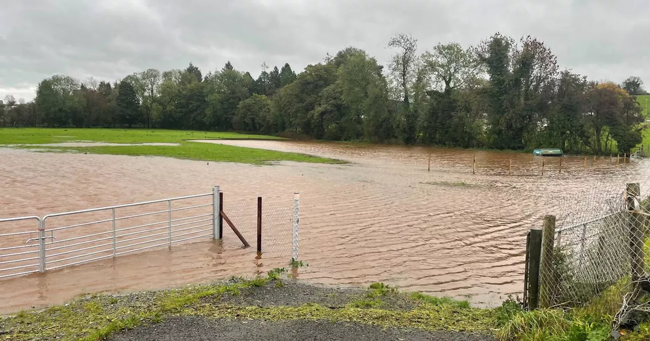 Weather Ireland: Status orange rain warning issued for three counties as unsettled spell continues