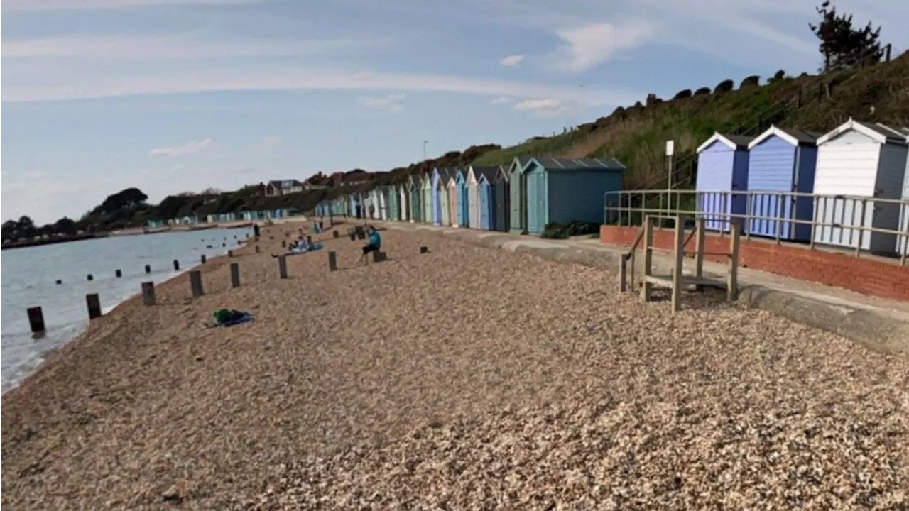 Dogs banned from stretch of Hill Head Beach in Hampshire until start of April 2024