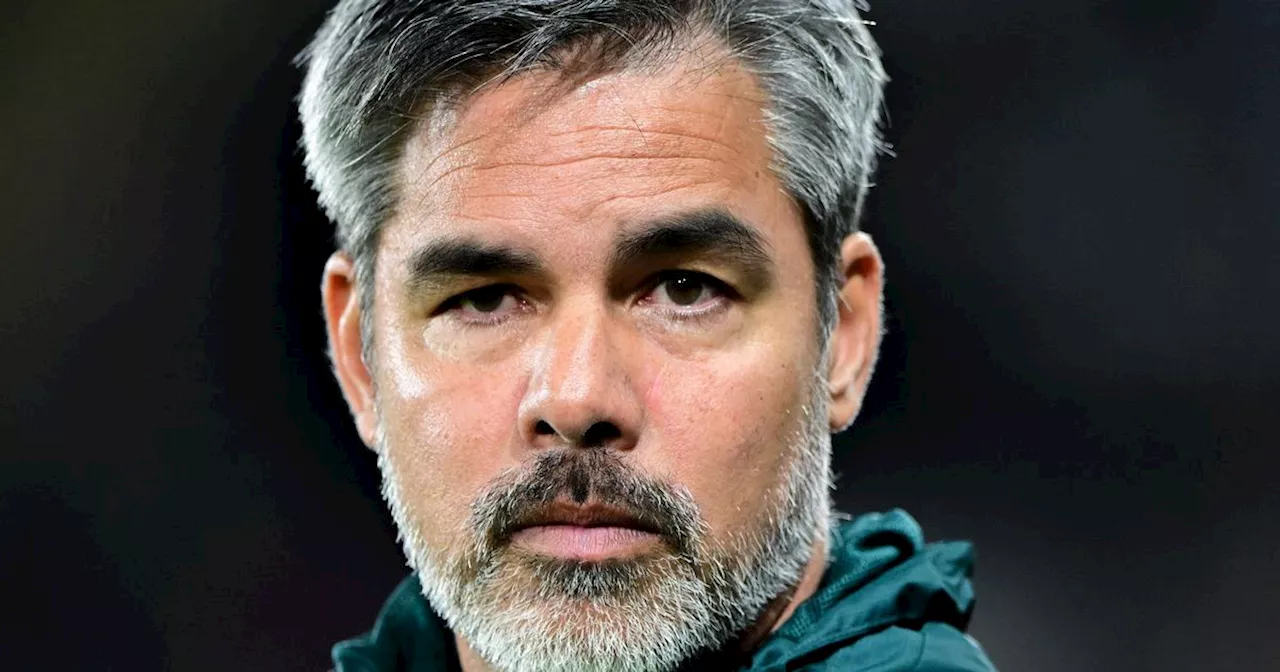 David Wagner claims Leeds United's win was down to Norwich City mistakes