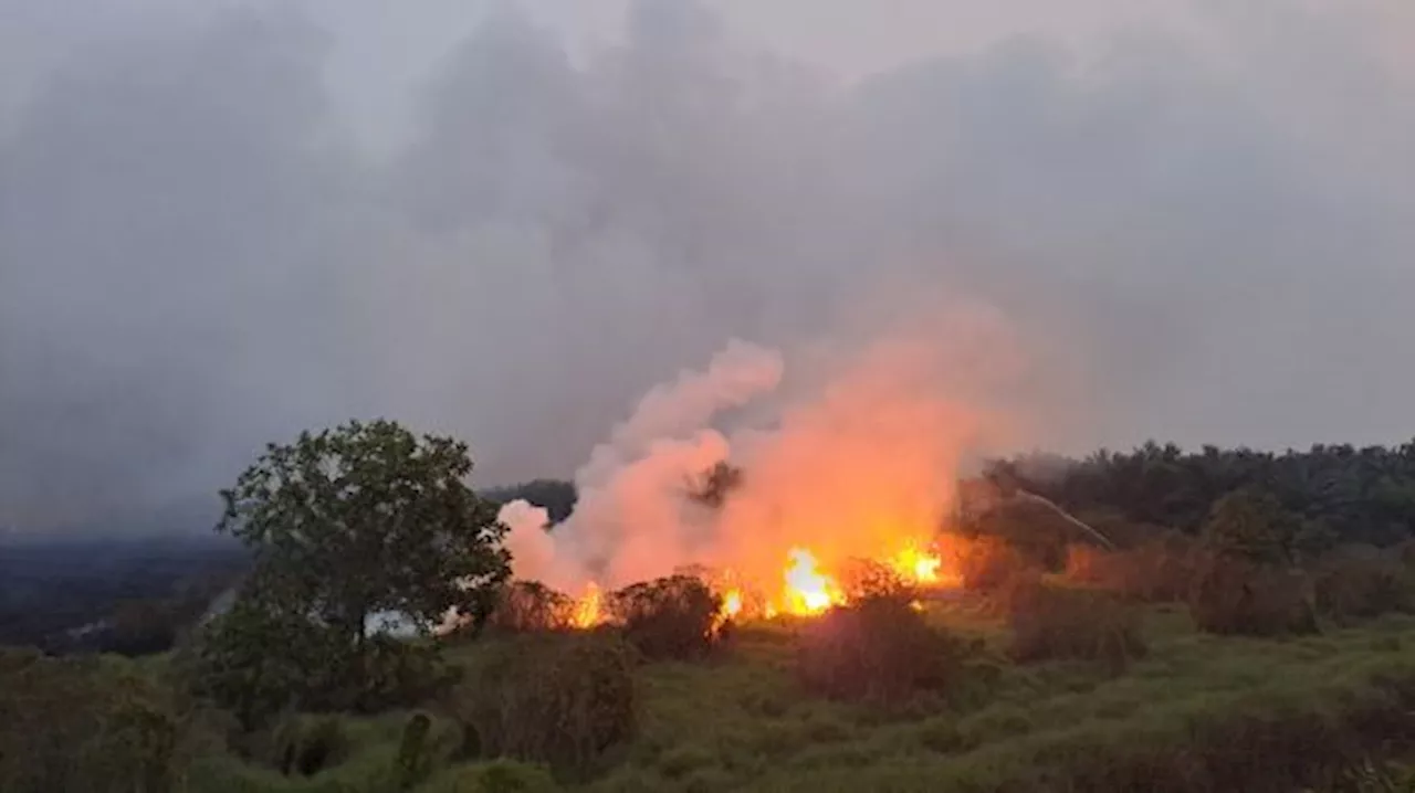 Kebakaran di Lahan Gambut Meningkat Signifikan