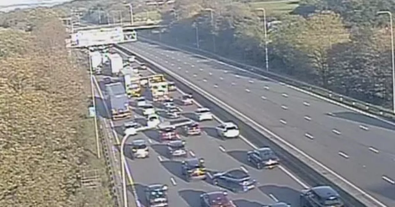 M62 closed with armed police at scene after 'aggressive bull escapes'