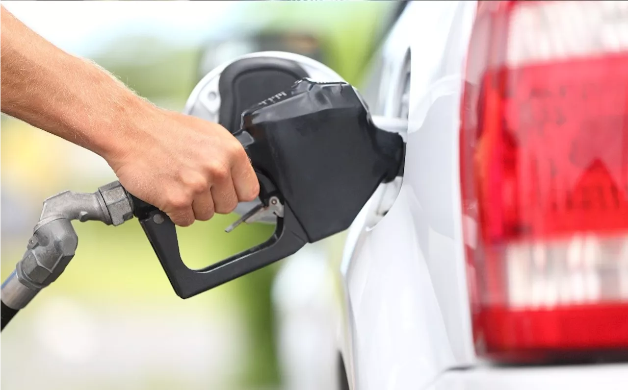 Precio de la gasolina en Guanajuato: Dónde comprarla más barata HOY 22 de octubre