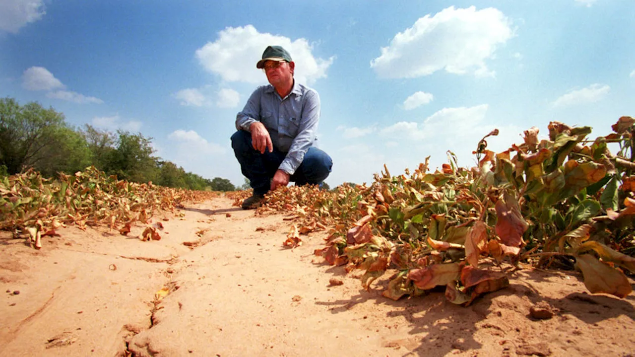 Winter Outlook: Drought improvement likely in Texas amid ongoing El Nino