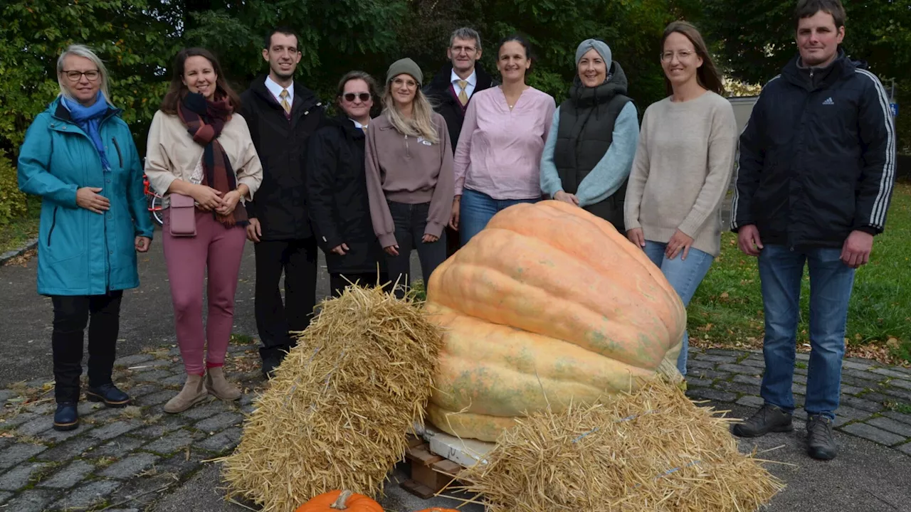 Herbstfest bei der Tauschhütte Maria Ponsee