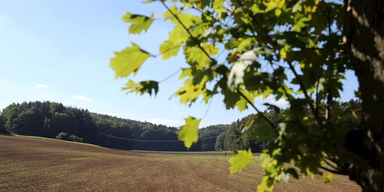 Die aktuelle Umleitung rund um Pegnitz kostet Zeit, hat aber auch ihre schönen Seiten