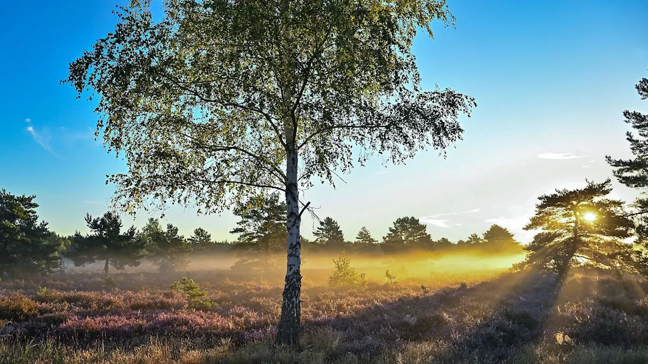 Berlin & Brandenburg: Tourismus in Brandenburg: Buchungslage in Ferien 'sehr gut'