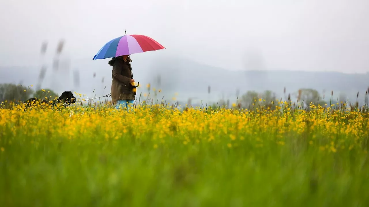 Nordrhein-Westfalen: Am Montag zunächst sonnig in NRW, danach Wolken und Regen