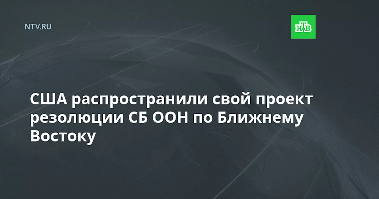 США распространили свой проект резолюции СБ ООН по Ближнему Востоку