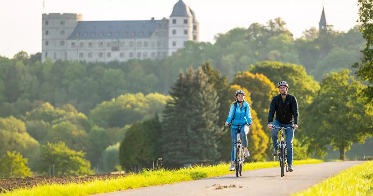 Teutoburger Wald Tourismus boomt wieder – wo die Gründe für den Erfolg liegen