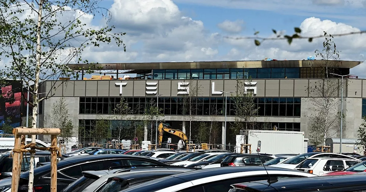 Vor Anhörung Kritik an Tesla-Ausbau bei Berlin