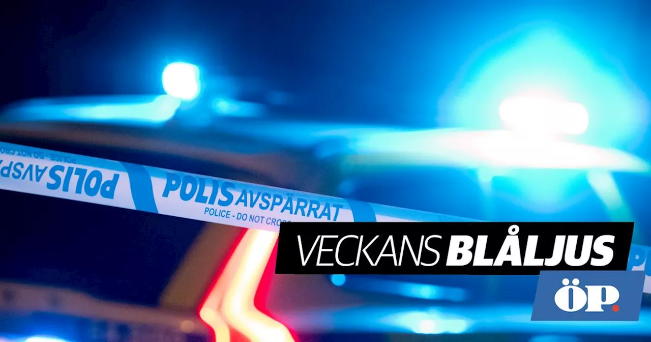 Veckans blåljus: Mordförsök i Östersund • Två avlidna efter brand • Sökte upp familjemedlem med gevär