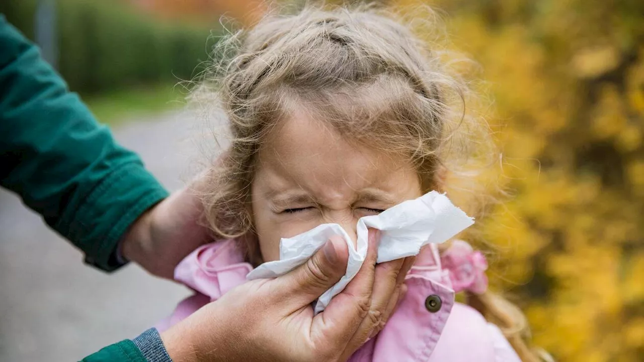 L'agence du médicament va renouveler son alerte contre les médicaments pour soulager le rhume