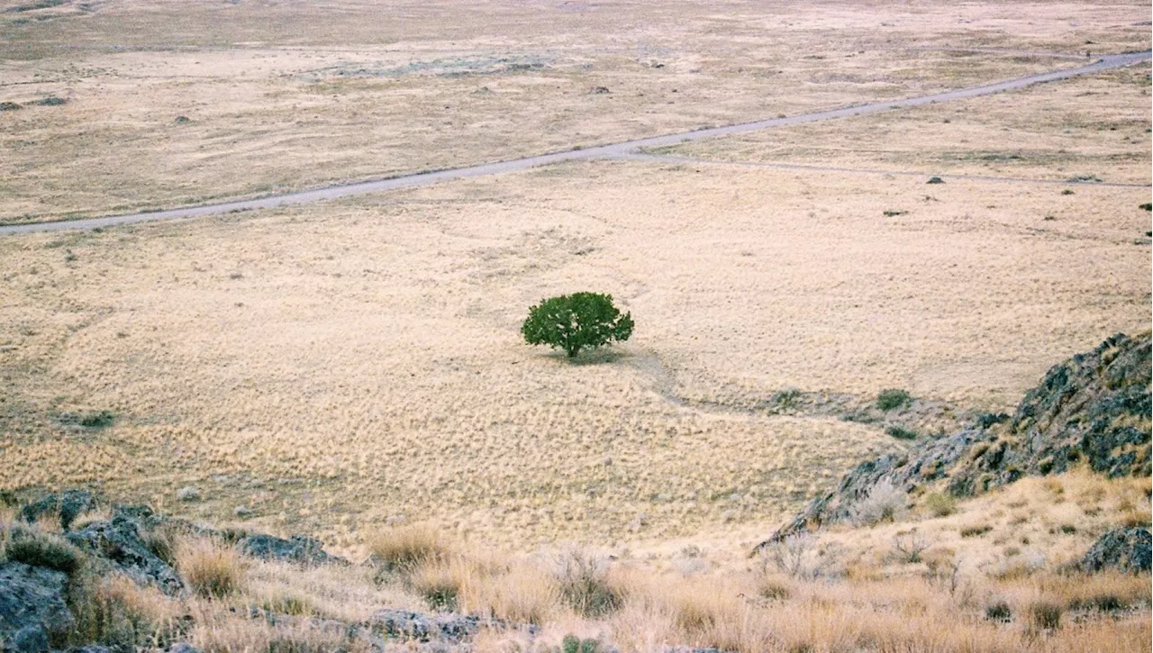 Riscaldamento globale, ecco quali regioni del pianeta diventeranno inospitali