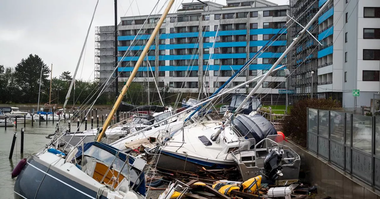 Ostsee: Großes Aufräumen nach Sturmflut mit Millionen-Schäden​