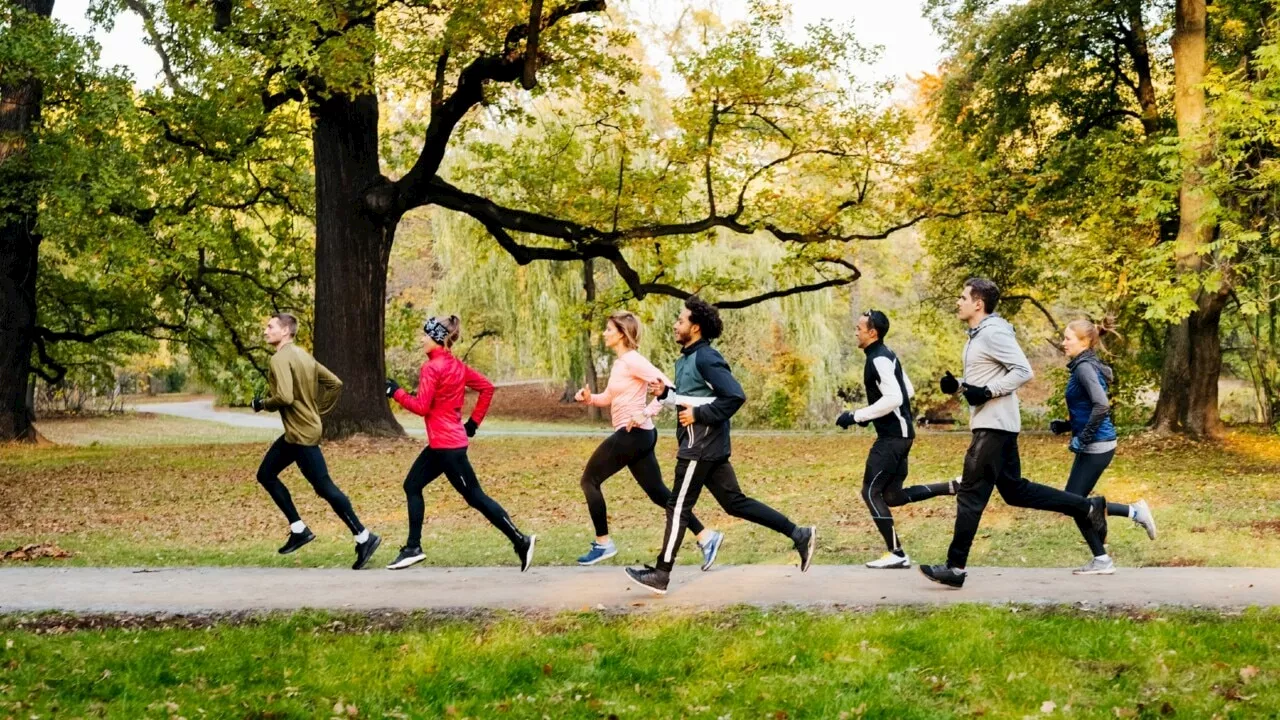 New public park planned in the heart of Sydney