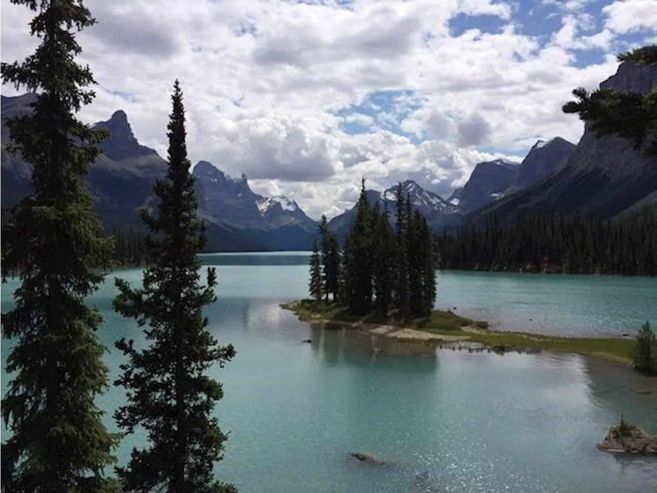 CANADA: Parks Canada signs agreement with First Nations, opens door to harvesting in Jasper