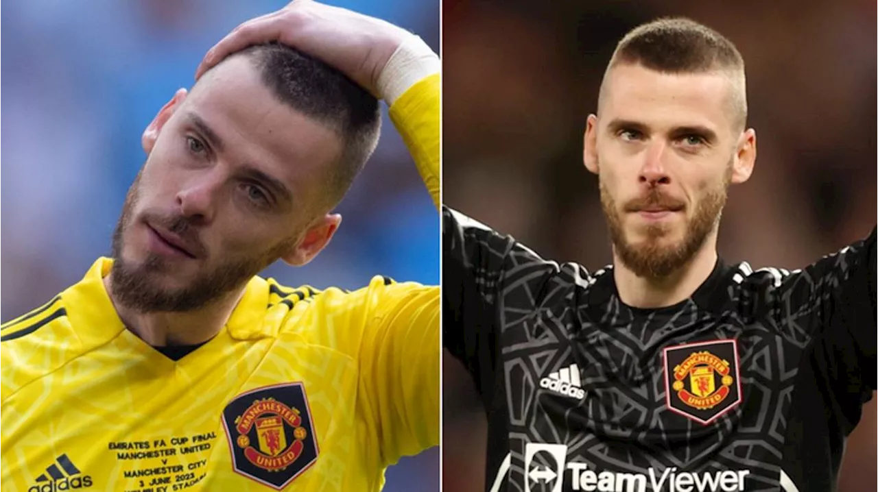 David de Gea sends Man Utd fans into meltdown with latest social media post