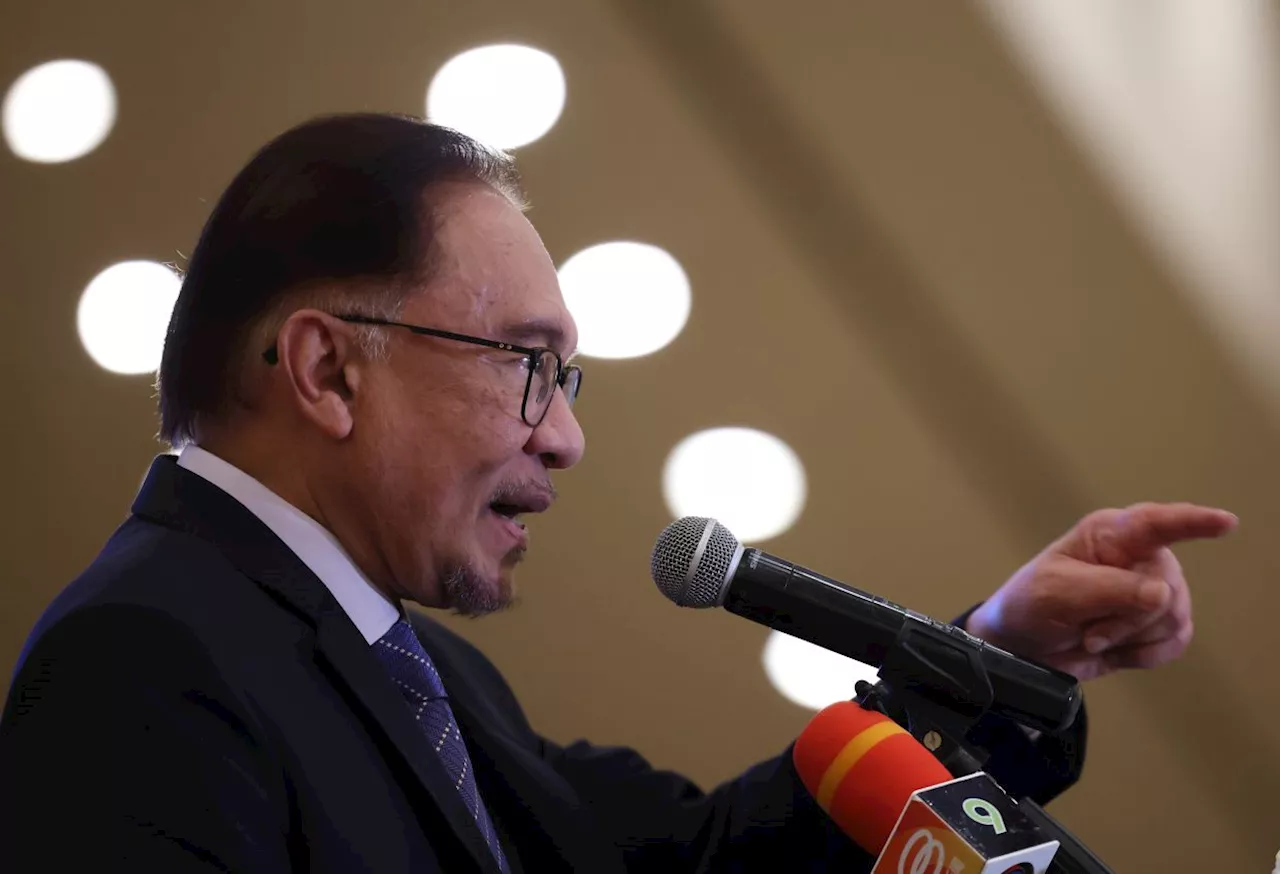 Malaysia aware of risk in championing Palestinian cause, says Anwar