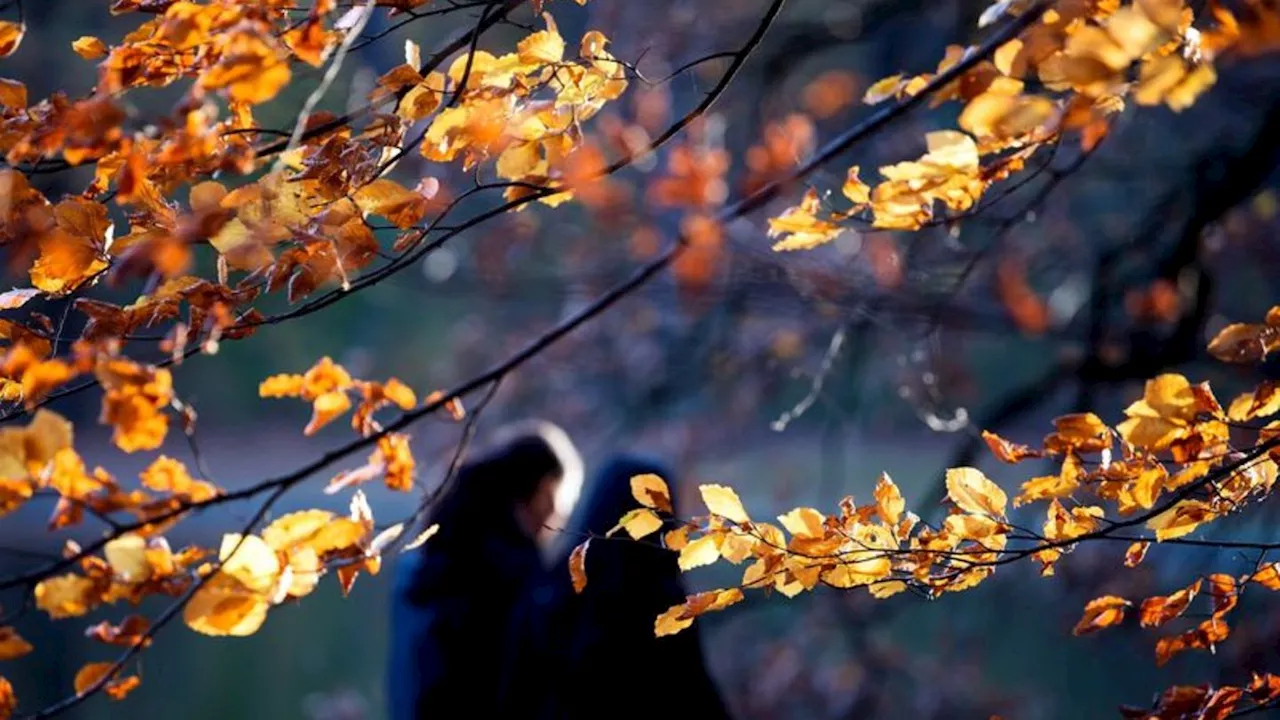 Wetter: Herbstwetter mit Wolken und Regen