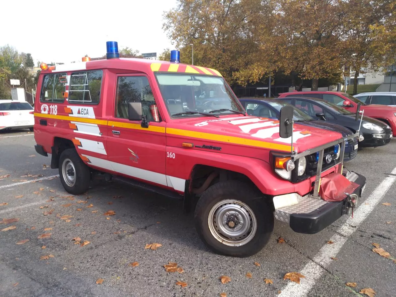 Sa chienne a été sauvée par les pompiers suisses, il doit payer 10 000 euros