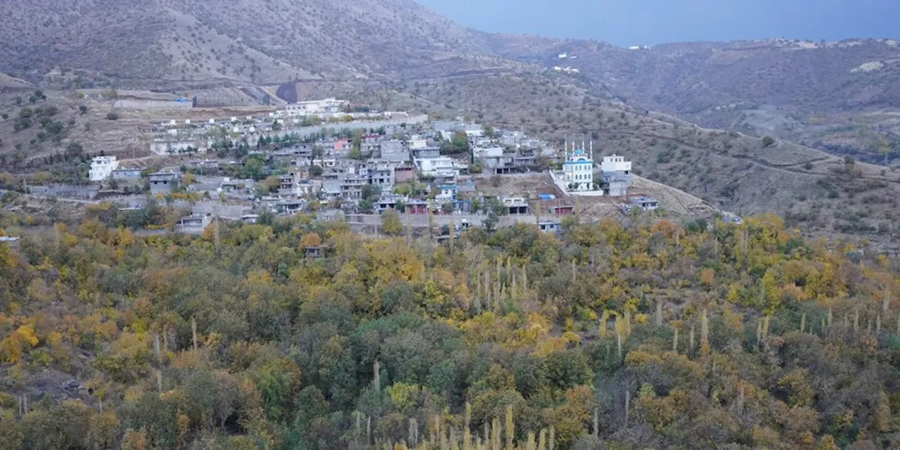 Klimakrise an der Grenze Iran/Irak: Das Sterben der Walnussbäume