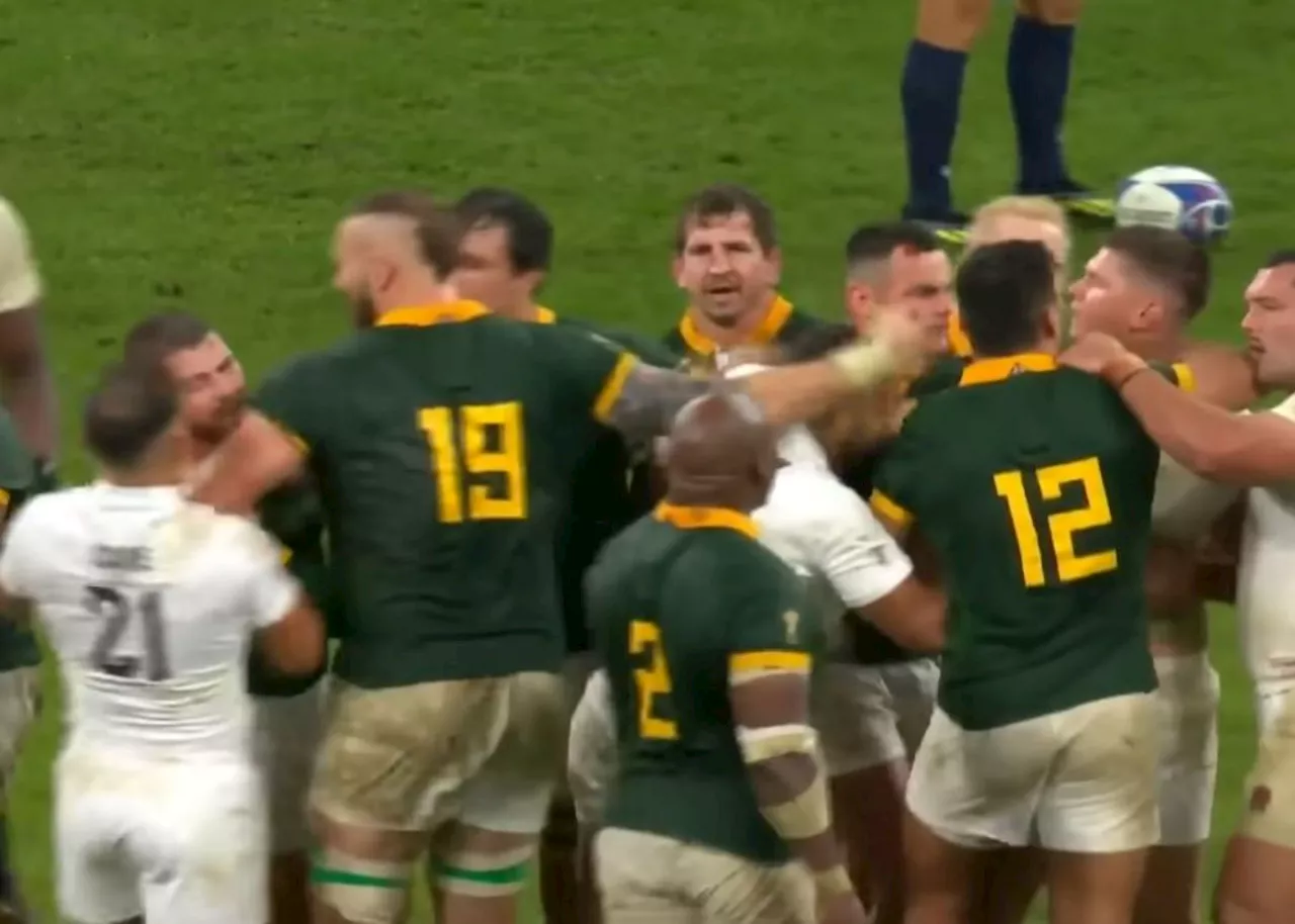 FIGHT! Tempers fray at the final whistle as Boks beat England [video]