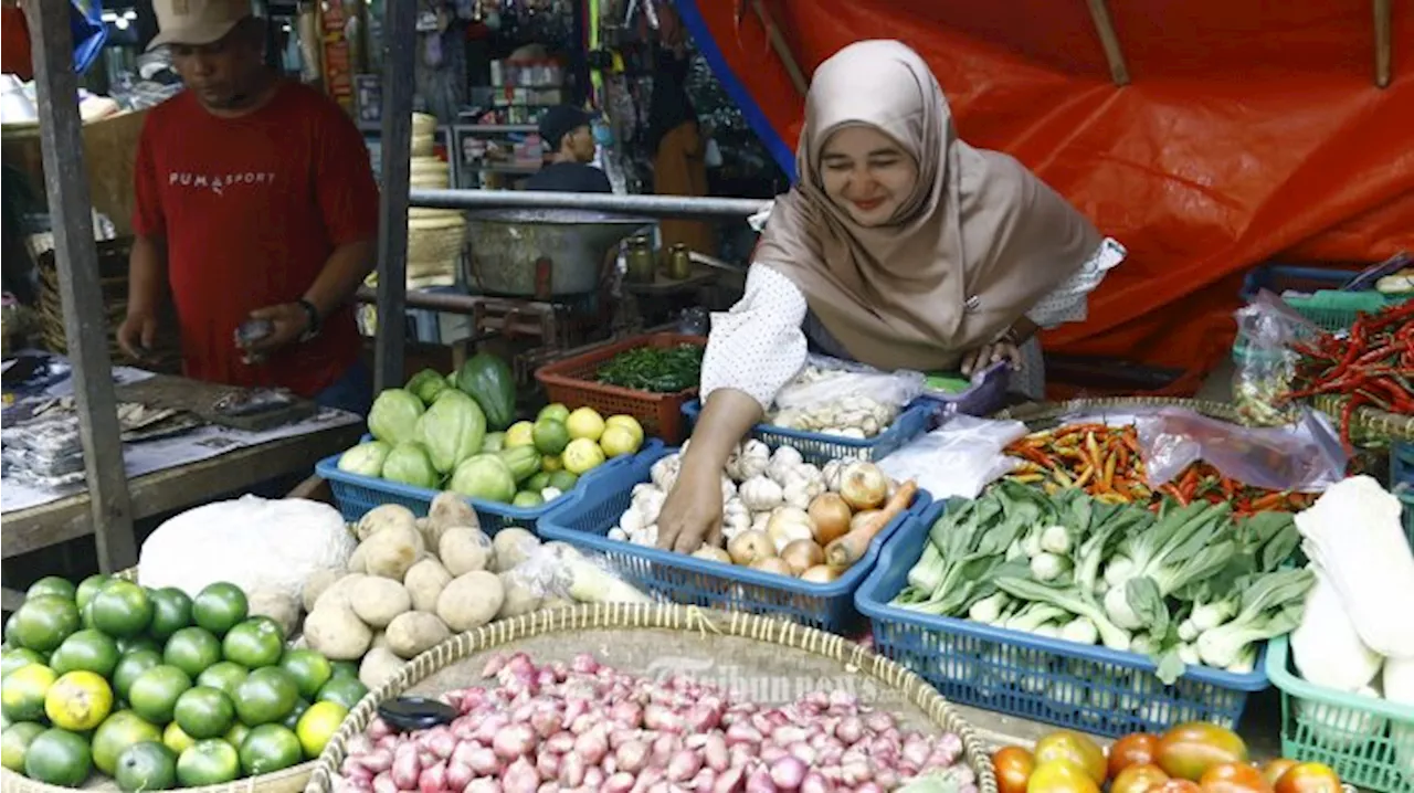 Kontroversi Penerbitan SPI Bawang Putih, Kemendag: SPI Dilayani dengan Prinsip First In First Out