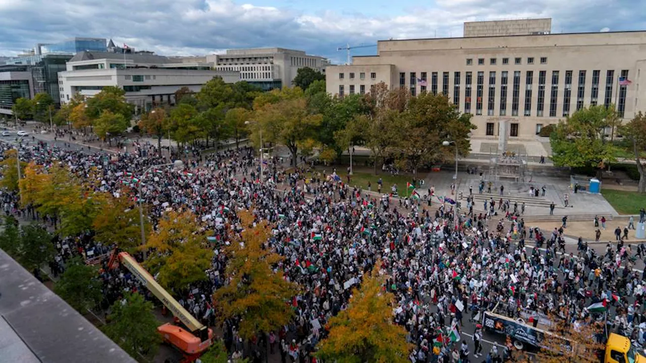 In pictures: Protesters in US capital demand truce as Israel-Palestine war roils world